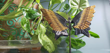 Load image into Gallery viewer, Crystal Butterflies
