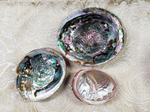 Load image into Gallery viewer, Abalone Shell