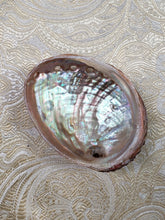 Load image into Gallery viewer, Abalone Shell