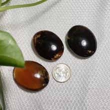 Load image into Gallery viewer, Amber Palm