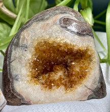 Load image into Gallery viewer, Citrine Geode