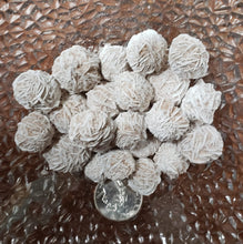 Load image into Gallery viewer, Desert Rose