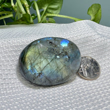 Load image into Gallery viewer, Labradorite Palm AAA
