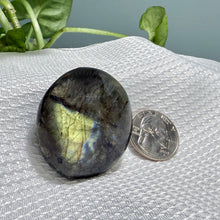 Load image into Gallery viewer, Labradorite Palm AAA