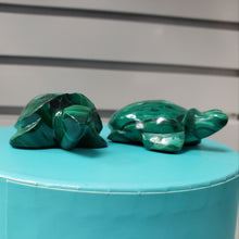 Load image into Gallery viewer, Malachite Turtle