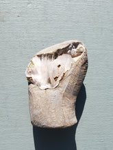 Load image into Gallery viewer, Natrolite Specimen