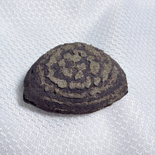 Load image into Gallery viewer, Pyrite Concretion Specimen