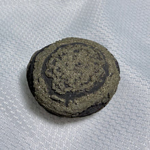 Load image into Gallery viewer, Pyrite Concretion Specimen