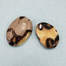 Load image into Gallery viewer, Septarian Palm