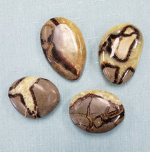 Load image into Gallery viewer, Septarian Palm