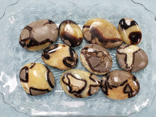 Load image into Gallery viewer, Septarian Palm