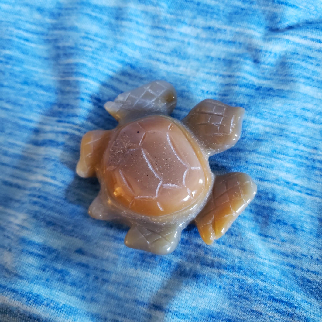 Agate Druzy Sea Turtle