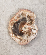Load image into Gallery viewer, Petrified Wood Slice
