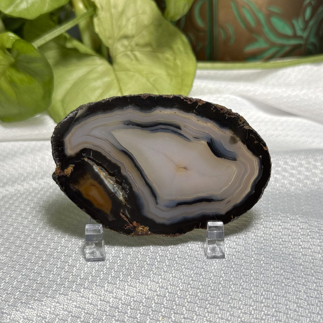 Agate Slice