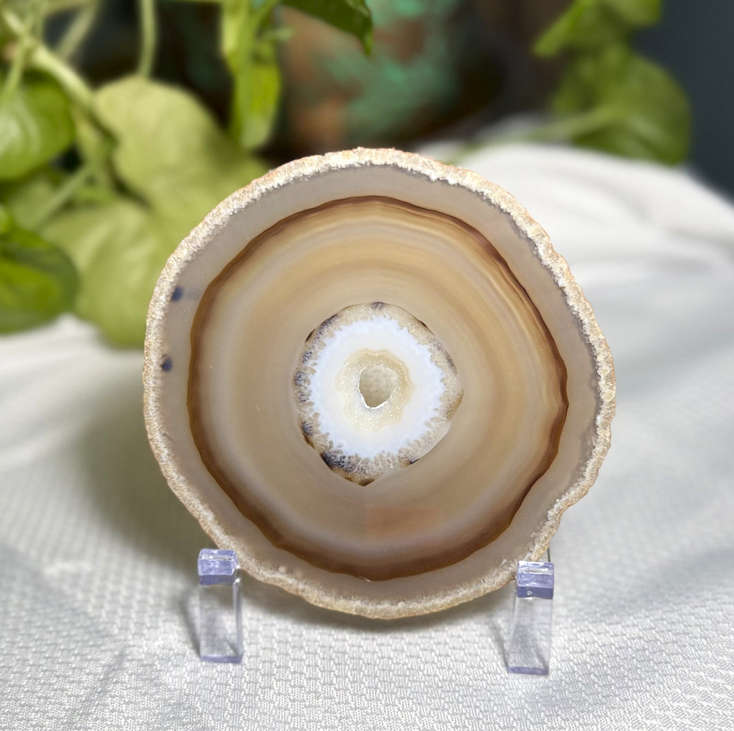 Agate Slice