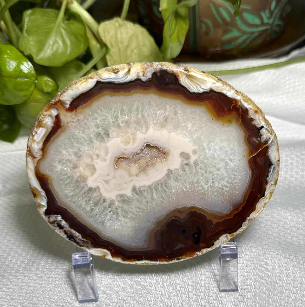 Agate Slice