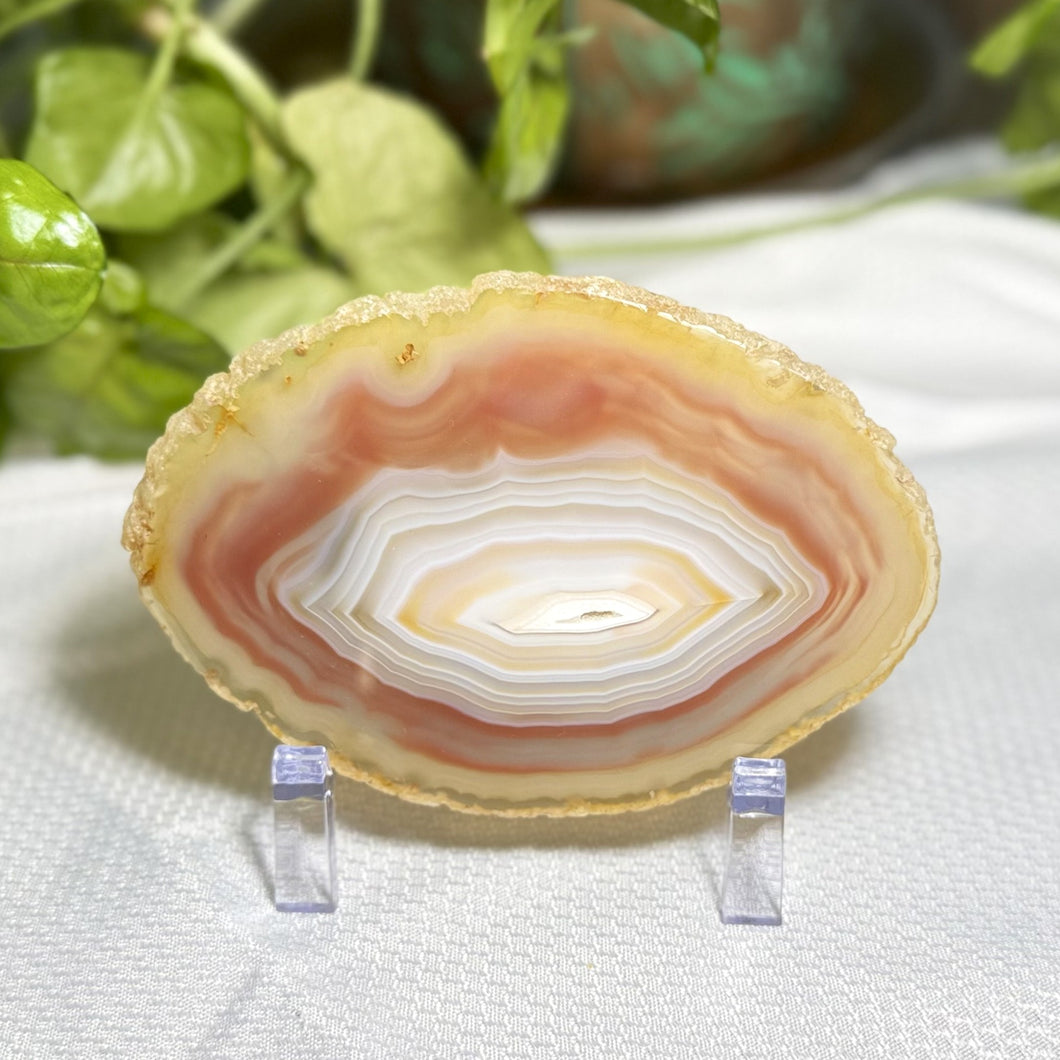 Agate Slice
