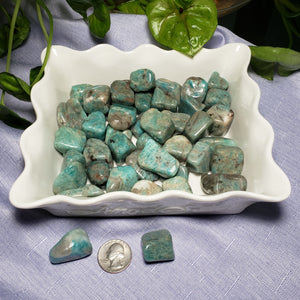 Amazonite Tumbled
