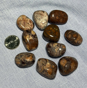 Bird's Eye Rhyolite Tumbled