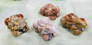 Crazy Lace Agate Frog