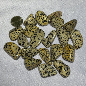 Dalmatian Jasper Tumbled