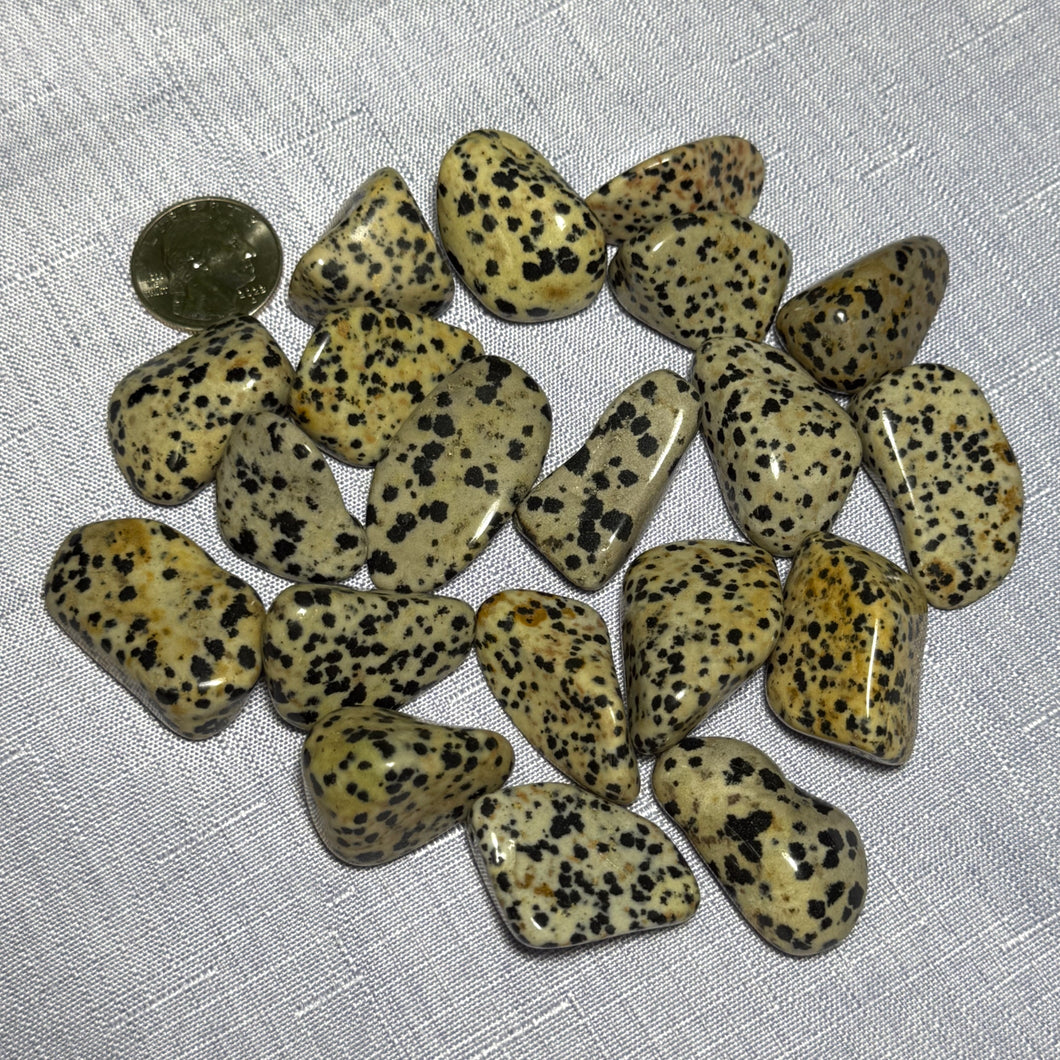 Dalmatian Jasper Tumbled