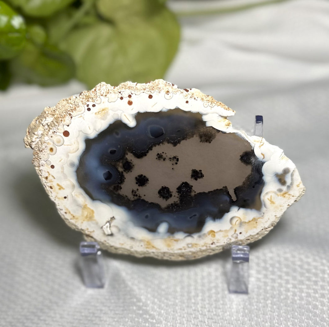 Agate Slice