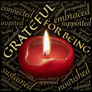 Meditation Monthly - THE POWER OF GRATITUDE