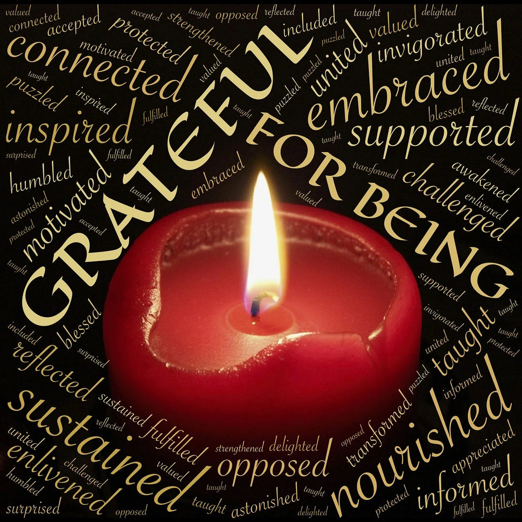 Meditation Monthly - THE POWER OF GRATITUDE
