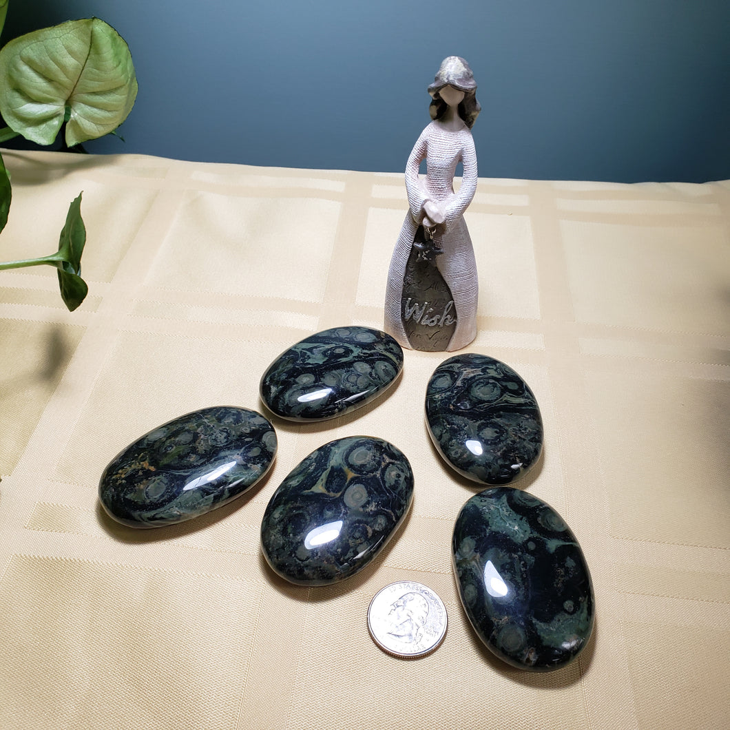 Kabamba Jasper Palm