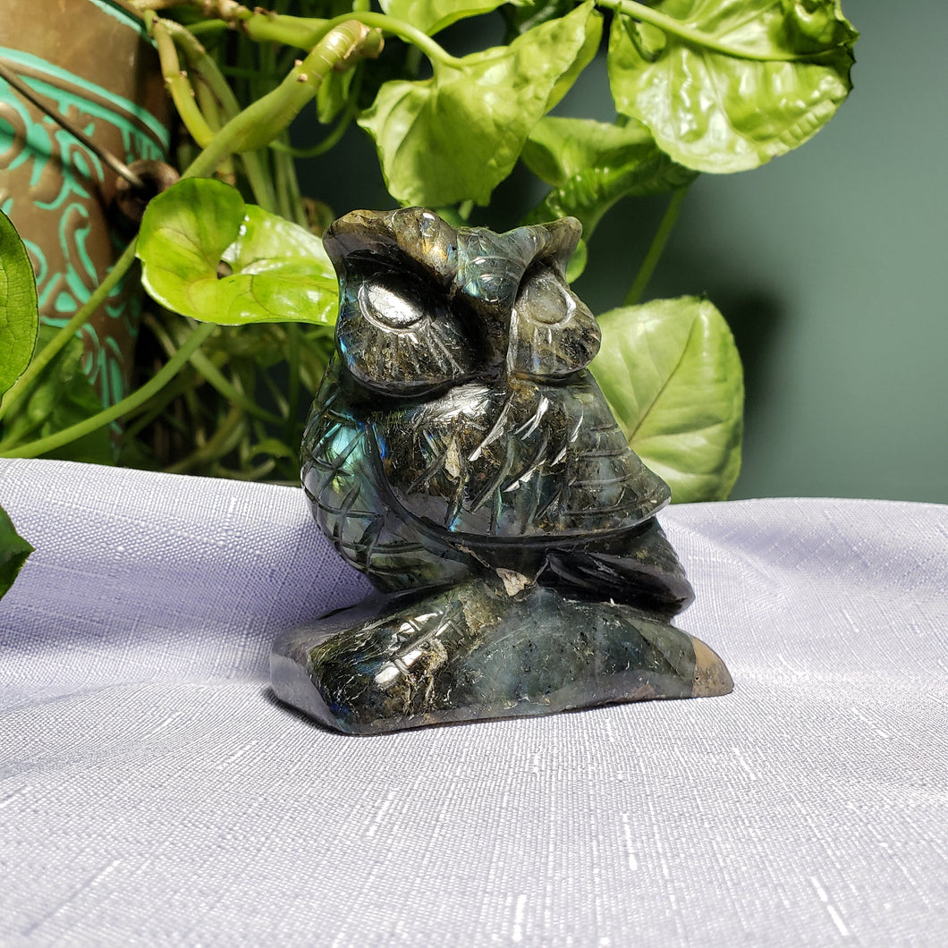 Labradorite Owl