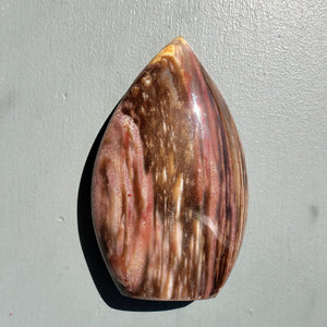 Petrified Wood Flame