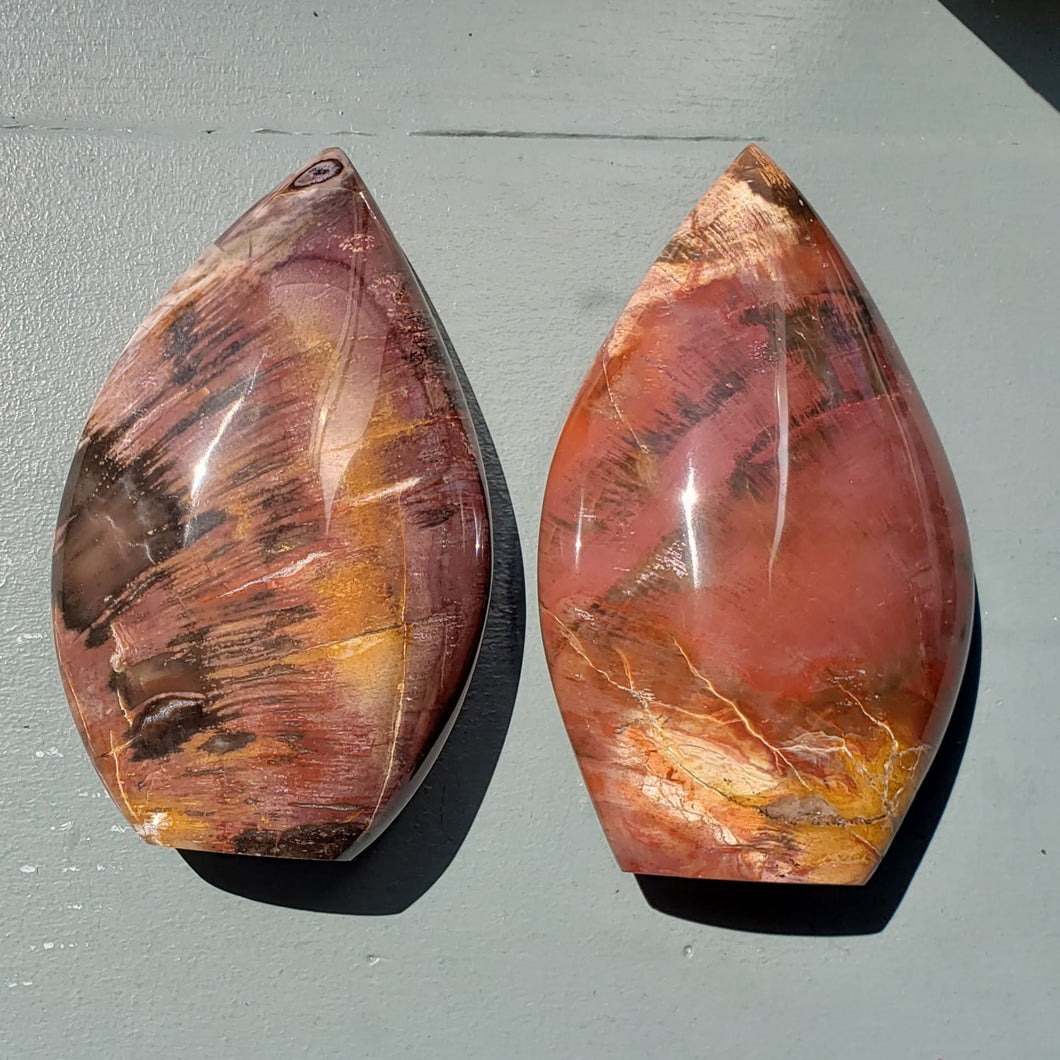 Petrified Wood Flame