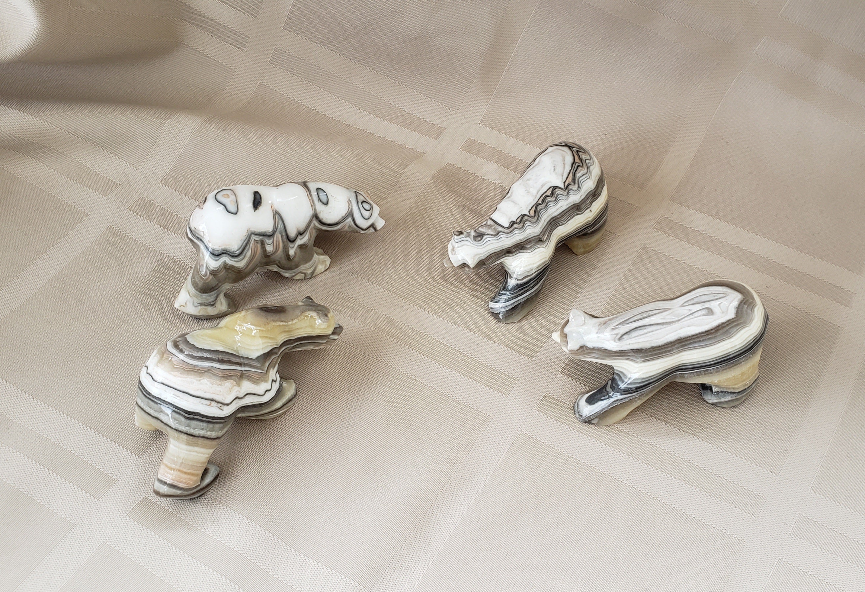 Zebra Onyx Bear