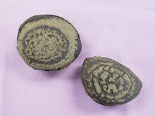 Load image into Gallery viewer, Pyrite Concretion Specimen
