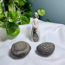 Load image into Gallery viewer, Pyrite Concretion Specimen
