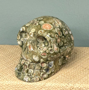 Rainforest Jasper Skull