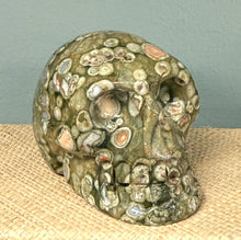 Load image into Gallery viewer, Rainforest Jasper Skull
