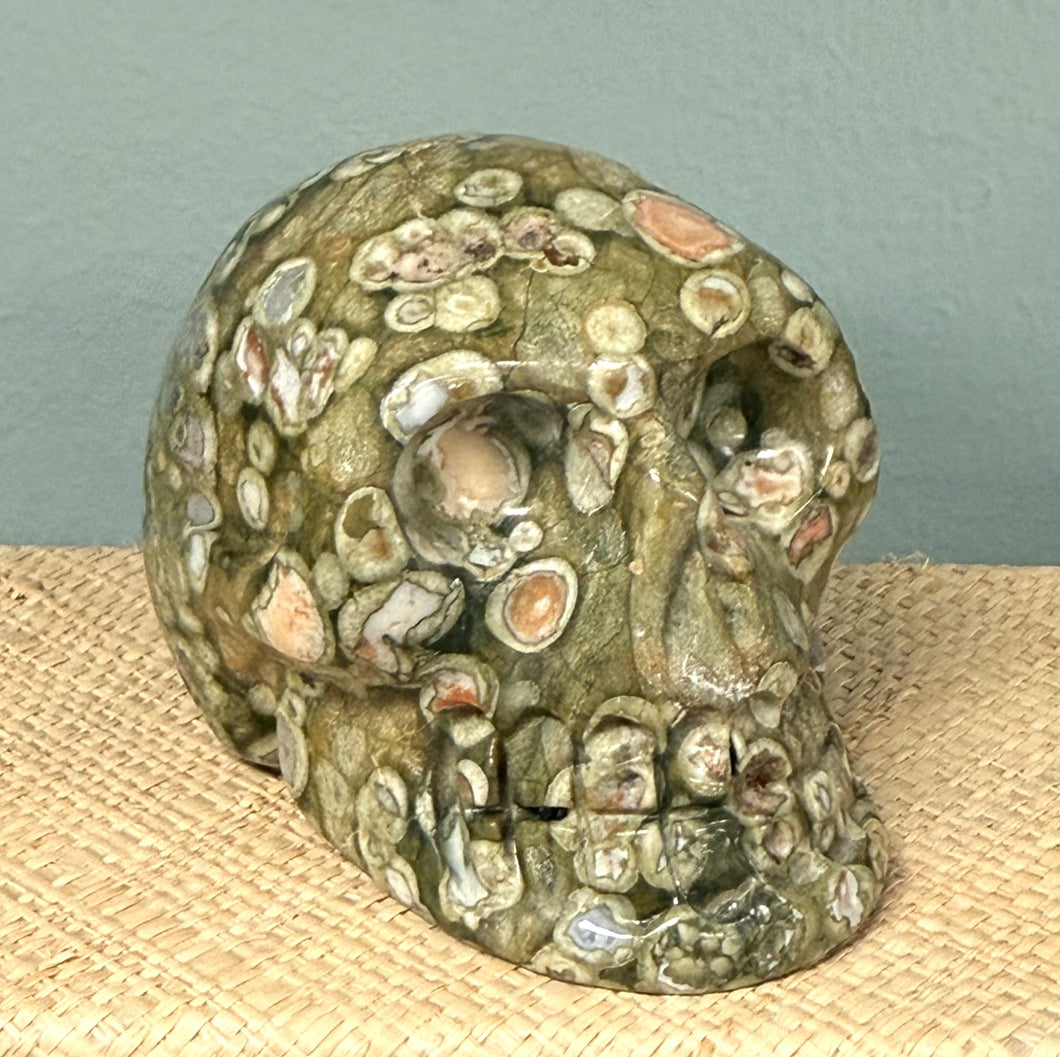 Rainforest Jasper Skull