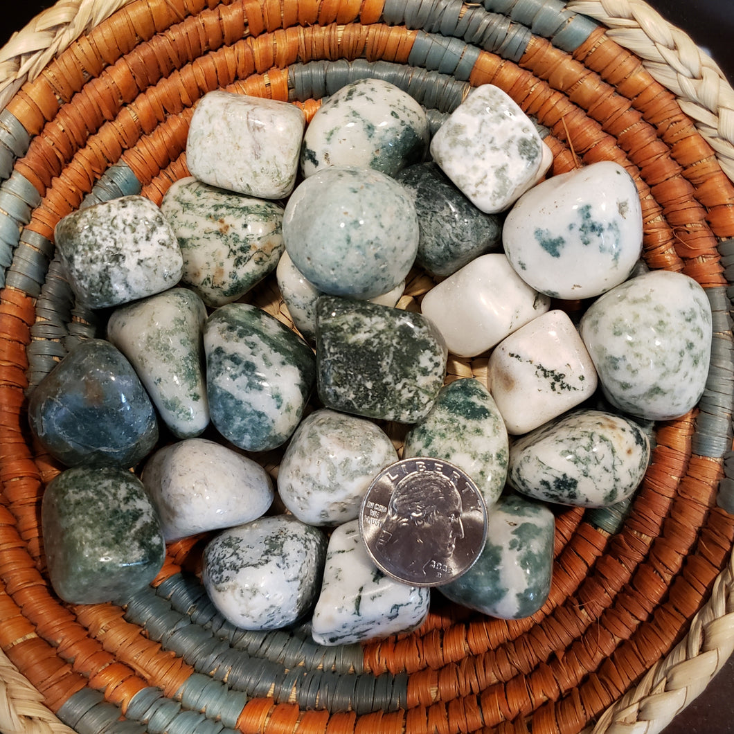 Tree Agate Tumbled