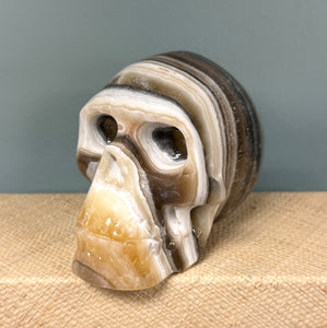 Zebra Onyx Skull