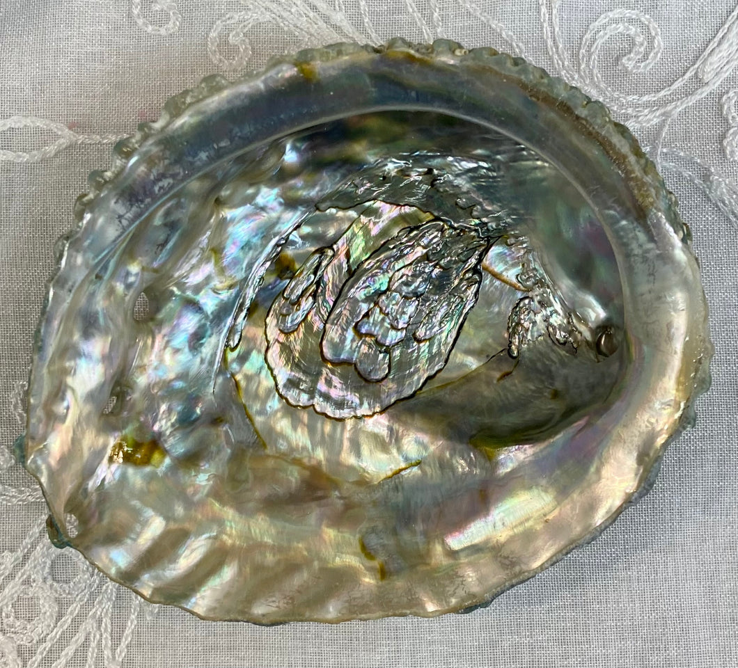 Threaded Abalone Shell - Medium