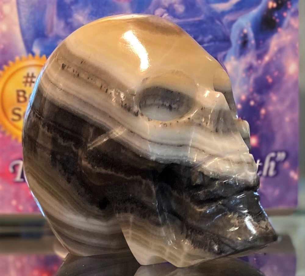 Zebra Onyx Skull